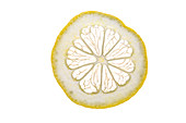 Lemon slice