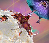 CAR T cell cancer immunotherapy, illustration