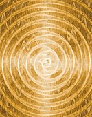 Radar screen abstract illustration.