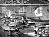Tallow production, 19th century