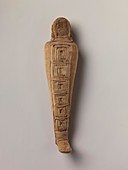 Mummified falcon from Ancient Egypt