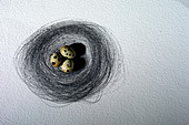 Three bird's egg in a nest