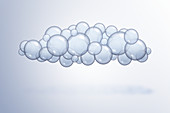 Cloud of bubbles, illustration