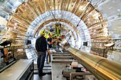 Replacing the CMS pixel detector at CERN