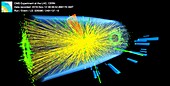 Lead ion collision event in CERN's CMS detector