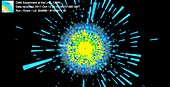 Xenon ion collision event in CERN's CMS detector
