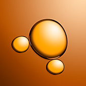 Bubbles in oil