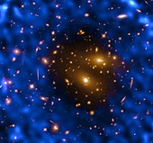 Cosmic microwave background research, ALMA-HST image