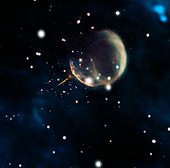 CTB 1 supernova remnant, composite image