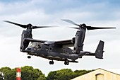 Bell Boeing V-22 Osprey in flight