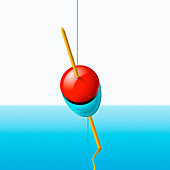 Fishing float, illustration