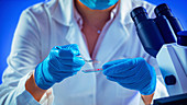 Scientist preparing microscope slide