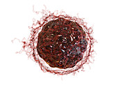 Cancer cell, illustration