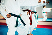 Children in taekwondo class