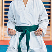 Tae kwon do stance