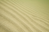 Sandy seabed