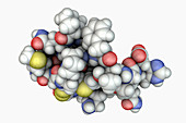 Molecule of scorpion chlorotoxin