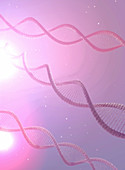 DNA molecules, illustration