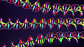 DNA molecules, illustration