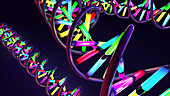 DNA molecules, illustration