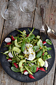 Cucumber salad with radishes, asparagus and burrata