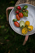 Rote, gelbe und grüne Tomaten in Keramikschüssel im Garten