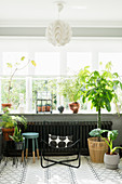 Filigraner Metallstuhl und verschiedene Zimmerpflanzen am Fenster