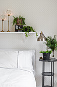 Houseplants on bedside table and on shelf above bed