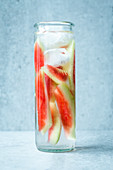 Infused Water mit Wassermelone