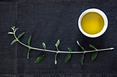 Stilleben mit Olivenöl und Olivenzweig