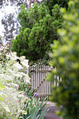 Blick durch dicht bepflanzten Garten auf Holzgartentor