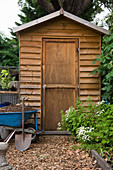 Wooden garden shed, spade and wheelbarrow of soil