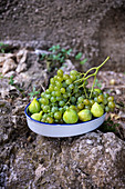 Fresh grapes and figs in the ceramic bowl outside in the garden