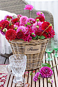 Bouquet of red and pink dahlias in a basket