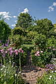 Cottage garden with peonies and currant, round paved area