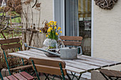 Early spring on the terrace with daffodils 'Tete a Tete' in a jar