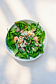 Green salad with goat's cheese