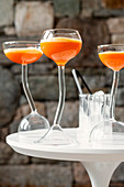 Begrüßungscocktail mit Whisky und Karottensaft