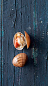 Fresh clams, closed and opened