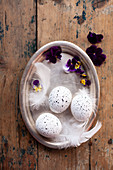 Speckled white eggs with feathers and horned violet flowers on a tray