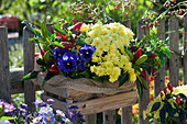 Wooden box with peppers, autumn chrysanthemum, and pansies by the garden fence