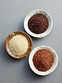 Weißer, schwarzer und roter Quinoa in Schälchen