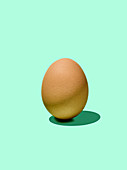 Ein Ei auf türkisem Untergrund