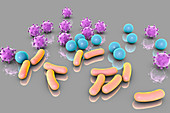 Bacteria and viruses, illustration