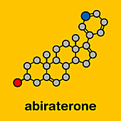 Abiraterone prostate cancer drug, molecular model