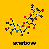 Acarbose diabetes drug, molecular model