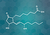 Alprostadil erectile dysfunction drug, molecular model