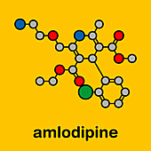 Amlodipine hypertension drug, molecular model