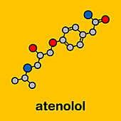 Atenolol high blood pressure drug, molecular model