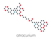 Atracurium skeletal muscle relaxant drug, molecular model